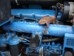 ford 7610 engine