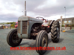 Grey Fergie Diesel classic Tractor for sale Ferguson TEF